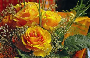 Link do artykułu "Dzień Edukacji Narodowej"